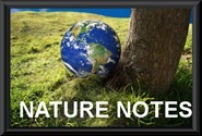 NatureNotes