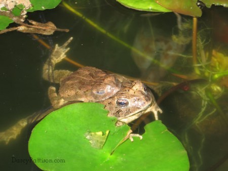Another view of the couple.