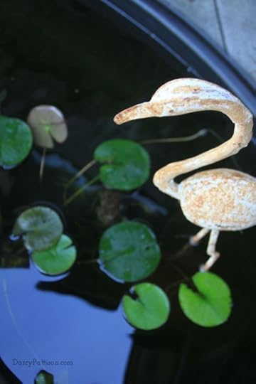 The Flamingo's eye view of the pond and the toads.