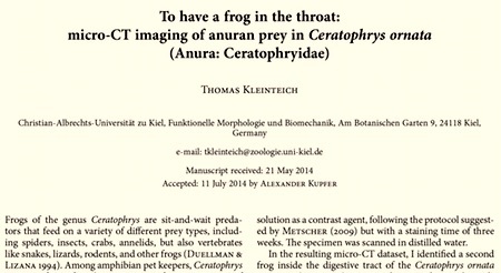 frog in throat STUDY