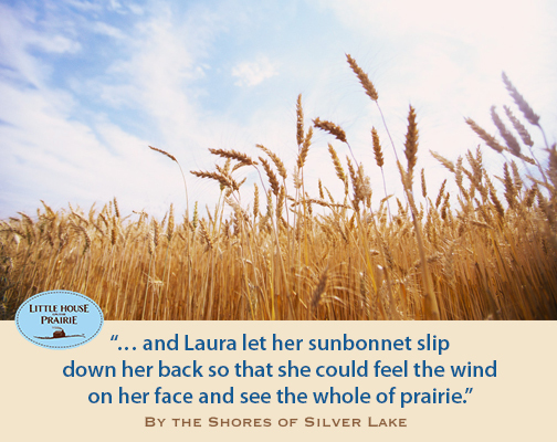 and-Laura-let-her-sunbonnet