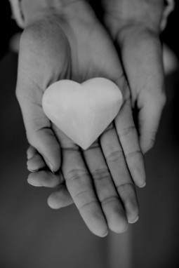 stone heart hand