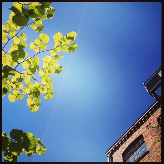 Der Blick vom Schreibtisch in den Himmel