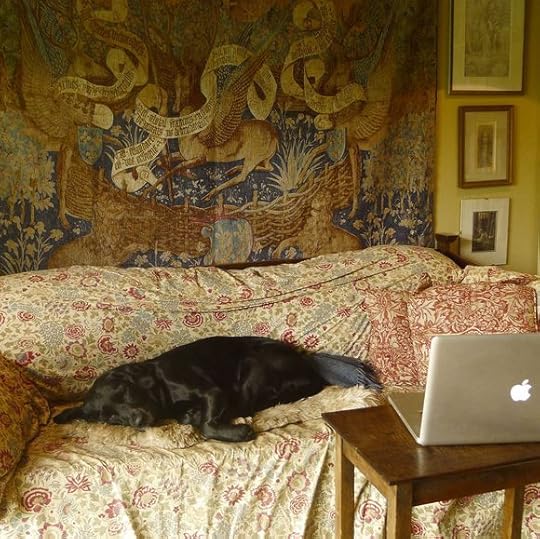 Sleepy Hound