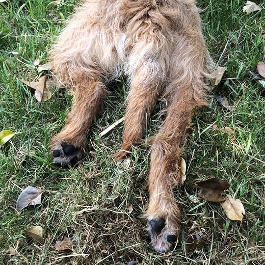 The Week That Was: 8-14 June 2015 Made Peachy 