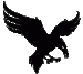 raven
