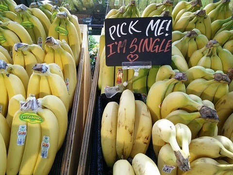 Photo: Five shopping tips to end food waste