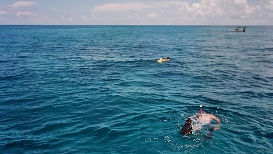 JUN15_12_hbr_nguyen_img_263