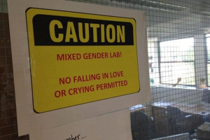 2d88a0d4-1074-11e5-_923115c