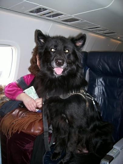 Molly Flagtail on an adventure with Mom!