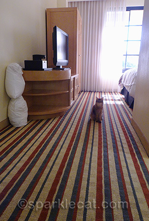 Don't I look small in this big room?
