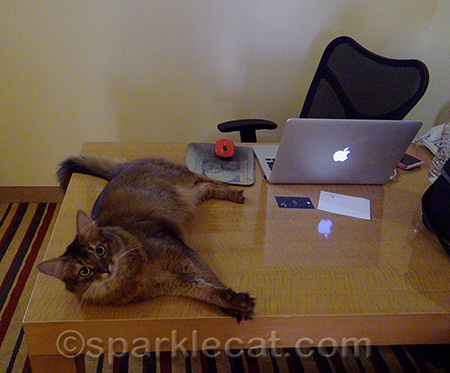 Her desk at home is much messier!