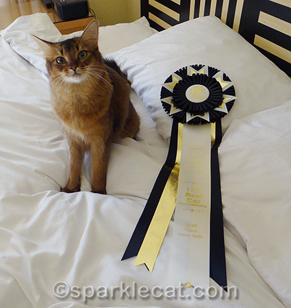 The ribbon matches the hotel room decor!