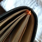 This shows how nicely the ZLYC journals use elastic to hold the inserts. This is the Passport journal.