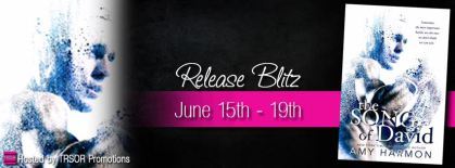 he song of david release blitz
