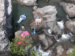 Johnsons Shut Ins 6