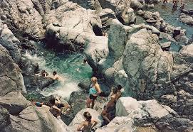 Johnsons Shut Ins 9