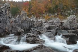 Johnsons Shut Ins 7
