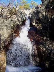 Johnsons Shut Ins 2