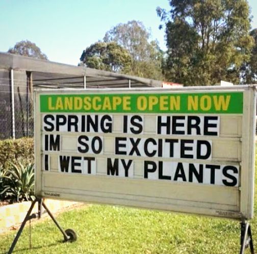 wet plants