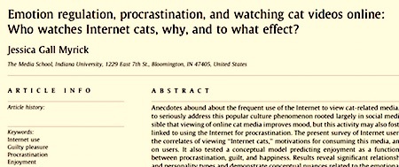 cat-videos-STUDY