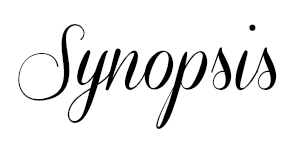 synopsis2