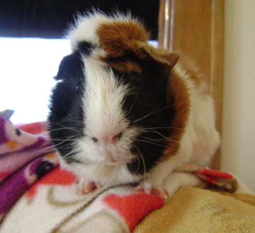 “Rich kids always think their highjinks are the best highjinks even though they never are.” – Horace