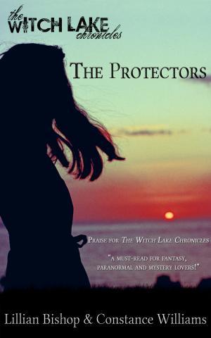 the protectors part two witch lake chronicles young adult paranormal fiction book