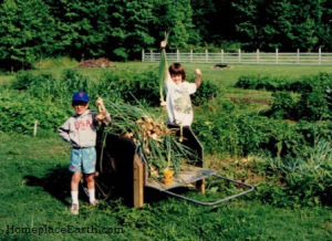 betsy and luke onion harvest - BLOG