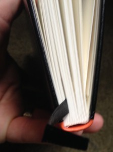 Palamino binding