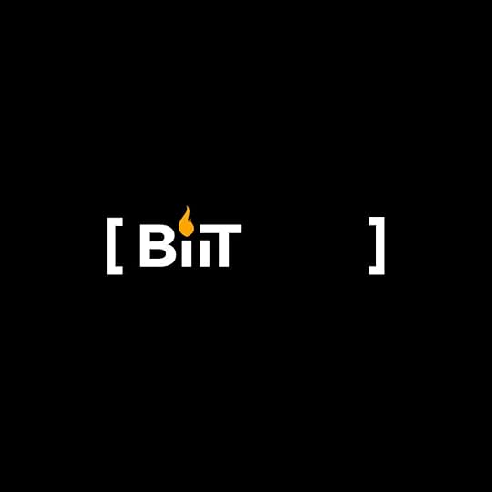 BiiT Logo 4 wob.jpg