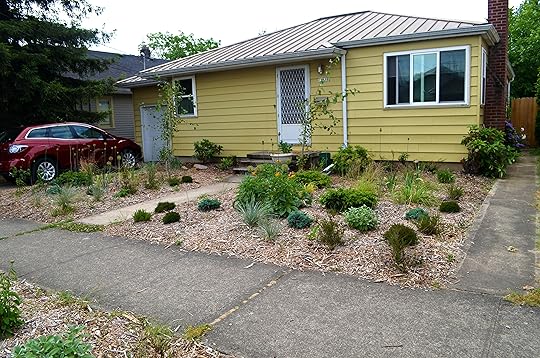 front-yard-june
