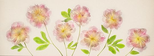 Parade of Peonies © Harold Davis