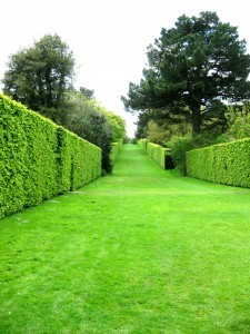 Hidcote Gardens