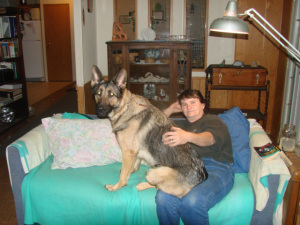AyasLapDog