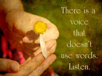 SilentVoice