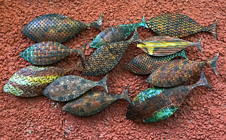 fishes
