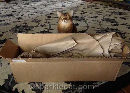 I REALLY liked what was IN this box!