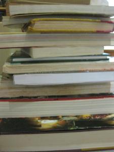 Diet books-tower of confusion