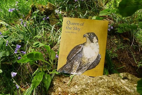Queen of the Sky 6