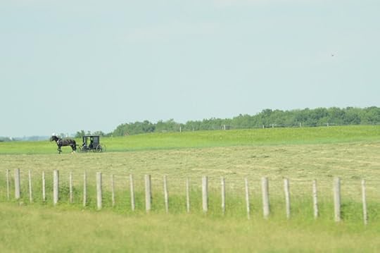 DSC_1370