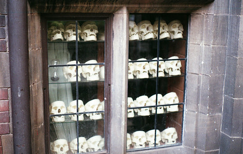 Skulls
