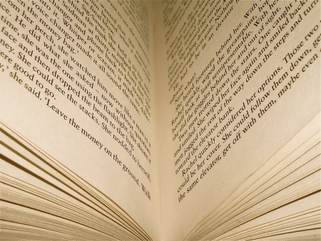 Does Fiction Tell The Truth?
