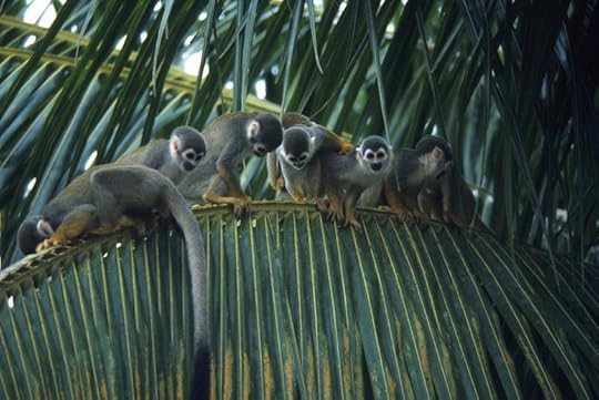 (Photo: Wolfgang Kaehler/LightRocket via Getty Images)