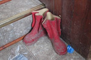 I'd forgotten about these boots.