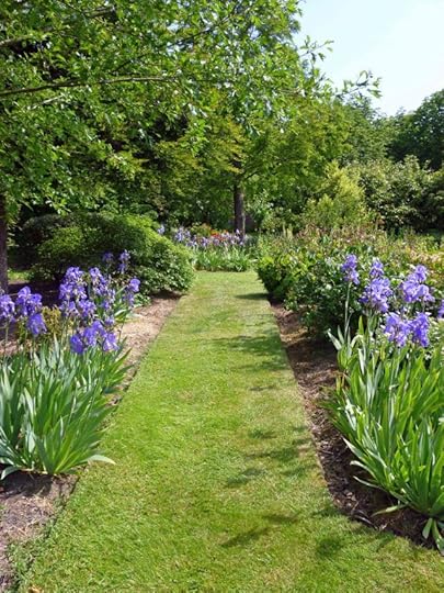 Path in rose garden