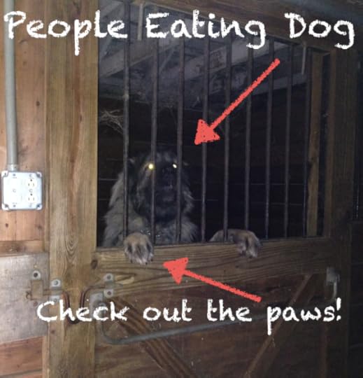 Last year, my husband and I were looking to purchase an 80-acre horse farm in Northern New Jersey. Some of my followers may remember my posting the photo of the world’s largest crazy dog that wanted to eat his way through an iron barred horse stall (nickname: Cujo).