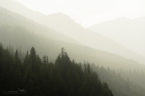 20150615-duChemin-Khutzeymateen-835