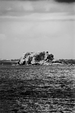 Black and white island