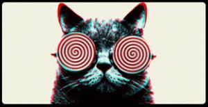 hypnotizing cat